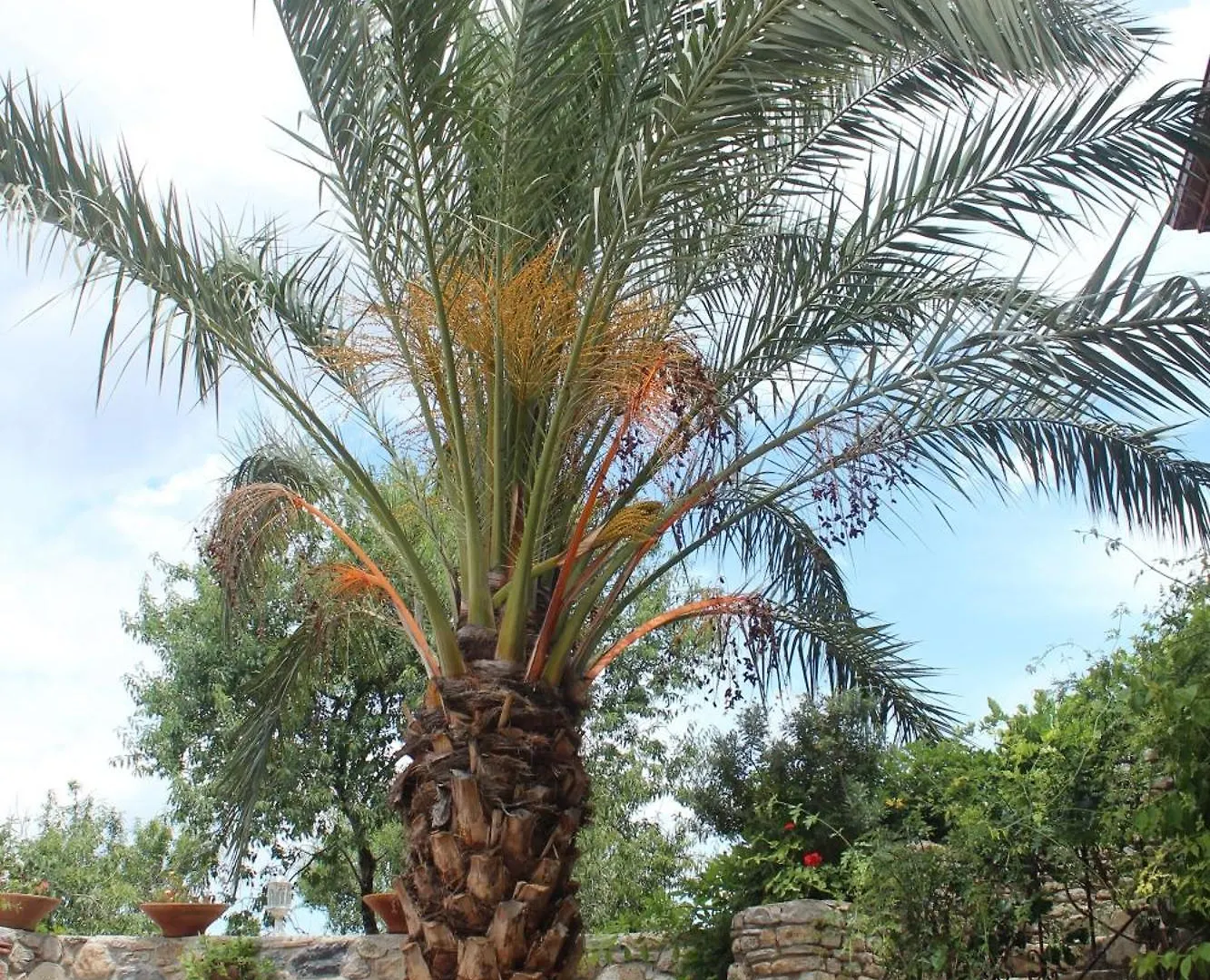 Kocca Ev Hotel Datca